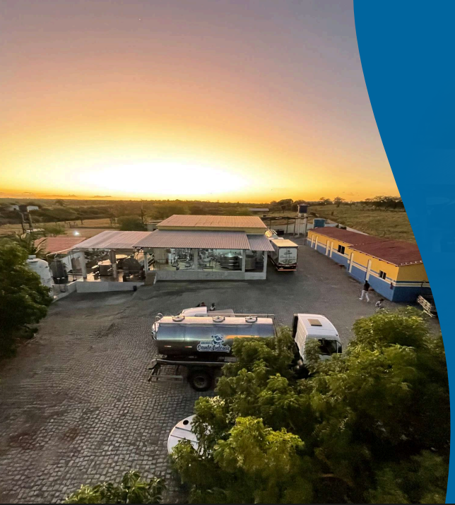 Processo de produção de queijos